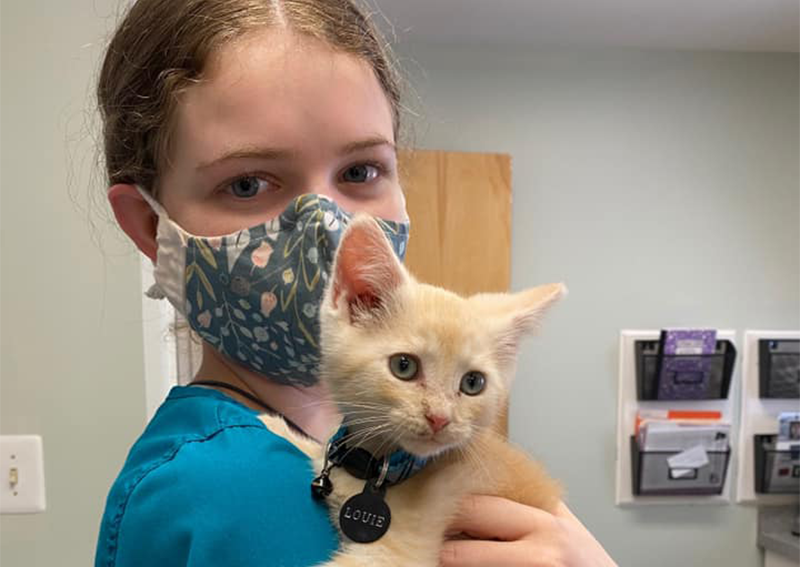 Cat Veterinary Care, Brookeville