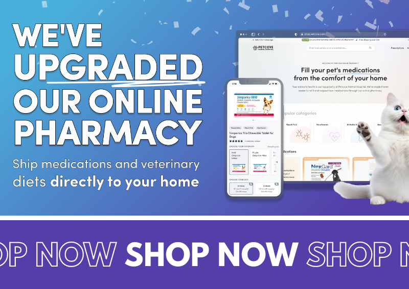 Carousel Slide 1: Online Pharmacy >